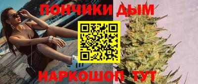 крисы Новозыбков